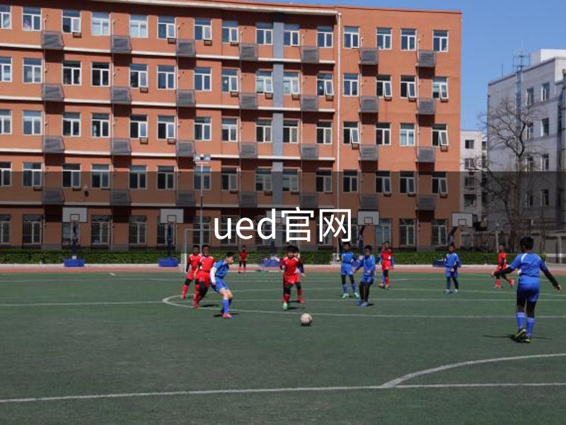 网站概况